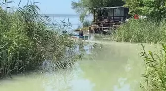 Akü hırsızları balıkçı esnafını canından bezdirdi