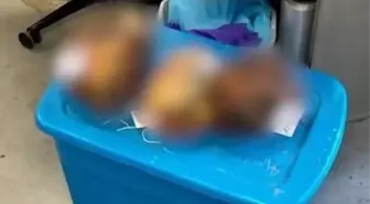 Ceset bağış derneğini ifşa etti! Bir gün sonra masasında 3 kesik baş bulundu