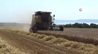 Çanakkale'de Arpa Hasadı Başladı, Rekolte Yüzde 20 Fazla Bekleniyor