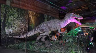 ABD'de Jurassic Quest Dinozor Sergisi düzenlendi