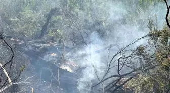 Muğla'da Yıldırım Düşmesi Sonucu Çıkan Orman Yangını Söndürüldü