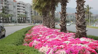 İzmir'de Baharın Rengi Çiçeklerle Buluştu