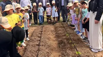 Çorlu'da öğrenciler çilek fidesi dikti