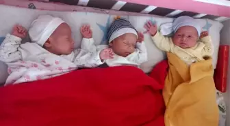 Sungurlu Belediyesi, Üçüz Bebeklere Sahip Çıktı