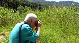 Esenler Belediyesi, Doğa Fotoğrafçılığı Günü'nde Bolu'da keyifli bir etkinlik düzenledi