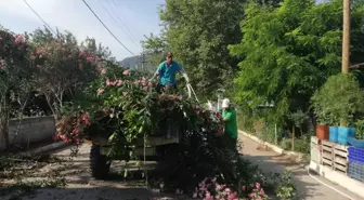 Germencik Belediyesi, ilçe genelinde temizlik ve bakım çalışmalarını hızlandırdı