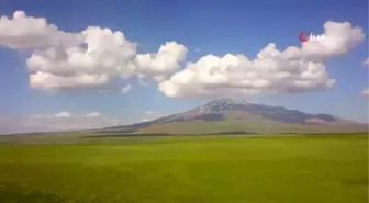 Bahar çiçekleriyle renklenen Sütey Yaylası ve Süphan Dağı hayranlık uyandırıyor