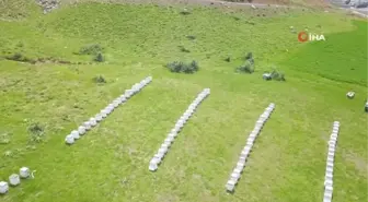 Bitlis Balı Dünya Birincisi Oldu