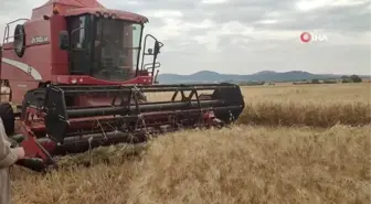 Öğrencilerin yetiştirdiği ilk arpa açık arttırma ile satıldı