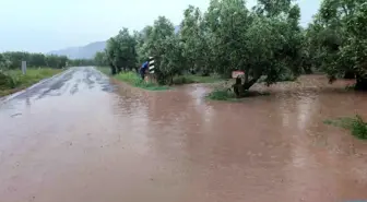 Bursa'nın Orhangazi ilçesinde sel felaketi