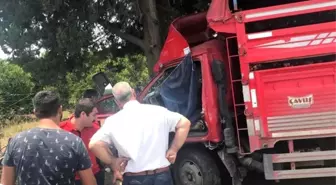 Mersin'de Meyve Yüklü Kamyonet Kaza Yaptı: 1 Ölü, 6 Yaralı