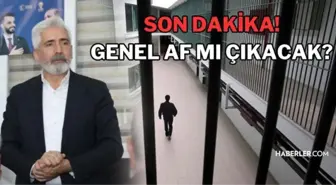 Genel af ne zaman çıkacak? Genel af kimleri kapsar? Genel af mı çıkıyor son dakika! Genel af kesinleşti mi? Genel af 29 ekim! Genel af çıkacak mı?