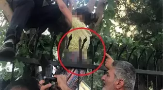 Diyarbakır'da dut toplarken korkuluklara düşen çocuk hastaneye kaldırıldı