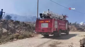 Bodrum'da otluk ve makilik yangını söndürüldü