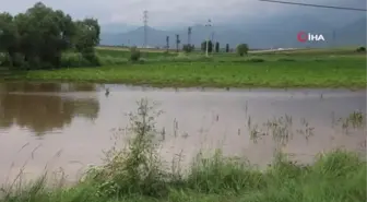 Sandıklı'da sağanak yağış tarım arazilerine zarar verdi