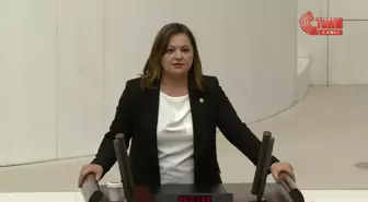 CHP Grup Başkanvekili Burcu Köksal, AKP'lilere tepki gösterdi