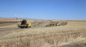 Diyarbakır Valisi Ali İhsan Su, Buğday Hasadına Katıldı