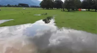 Efteni Gölü yağışlar sonrası taştı