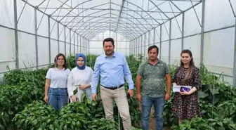 Demirköy'de su isale hattı çalışması yürütülüyor, Pınarhisar'da biber hasadı başladı