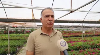 Muğla'da Kadın Üreticilerin Ürettiği Çiçekler Komşu İlleri de Süslüyor
