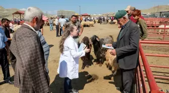 Van'da Kurban Bayramı öncesi canlı hayvan pazarında bilgilendirme yapıldı