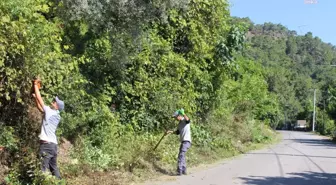 Antalya Büyükşehir Belediyesi Kemer Çıralı'da Yol Temizliği Yaptı