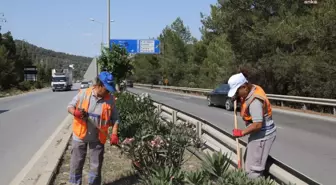 Bodrum Belediyesi Bayram Hazırlıklarına Başladı