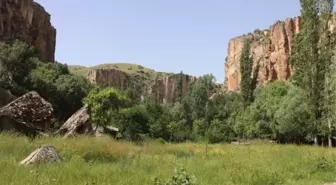 Çorak topraklar arasına gizlenmiş bir vaha! Dünyanın en büyük ikinci vadisi: Ihlara Vadisi