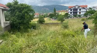 Ankara'nın Güdül Belediyesi Yabancı Ot Temizliği Yapıyor