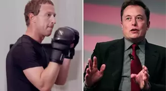 Mark Zuckerberg, Elon Musk'ın kafes dövüşü teklifini kabul etti: Konum at