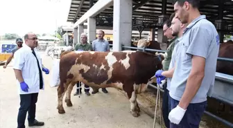 Bursa'da Kurban Yakalama Timleri Hazır Bekliyor