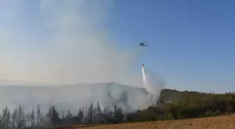 Adana'da Orman Yangını Kontrol Altına Alındı