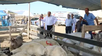 Adana'da Kurban Satış Yerleri Denetlendi