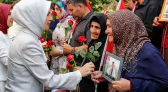 Aile ve Sosyal Hizmetler Bakanı Göktaş, Diyarbakır annelerini ziyaret etti