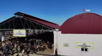 Bayburt'ta Kurban Bayramı heyecanı