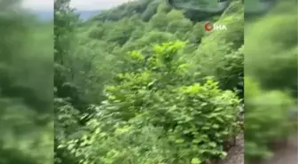 Giresun'da Heyelan Nedeniyle Yolun Çökme Anı Görüntülendi