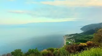 Tekirdağ'da Ormanlarda Mangal ve Ateş Yakmak Yasaklandı