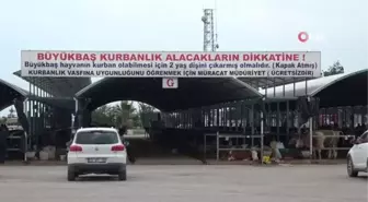 Vatandaşlar kurbanlık için son günü bekliyor