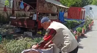 Çiçekçi Dede, Kendi Yetiştirdiği Fidelerle Ekonomik Gelir Elde Ediyor