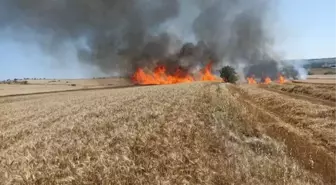 Beğendik'te Buğday Ekili Arazide Yangın