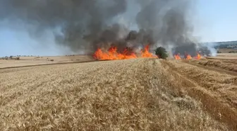 Beğendik'te Buğday Ekili Arazide Yangın