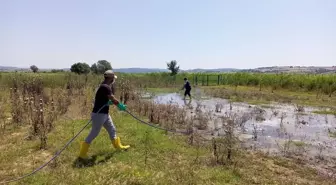 Keşan'da mücavir alanlarda ilaçlama çalışmaları sürüyor