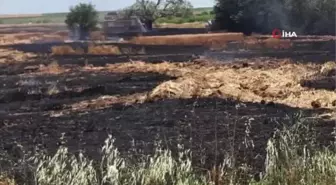 Kırklareli'de 90 dönümlük buğday tarlası küle döndü