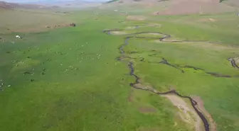 Çin'in İç Moğolistan Özerk Bölgesi'ndeki Ar Horqin Çayırı'nın manzarası büyülüyor