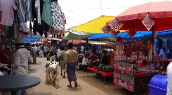 Yeni Delhi'deki Keçi Pazarı Kurban Bayramı İçin Hareketlendi