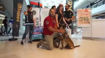 Narkotik köpeği 'Kongar' ilgi odağı oldu