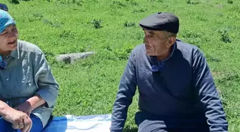 Artvin'de keşfedilen yeşil bal markalaştırılacak