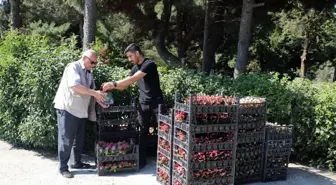 Çerkezköy Belediyesi Mezarlıklarda Kabir Ziyaretine Gelenlere Çiçek Dağıttı