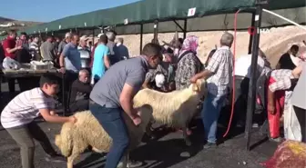 Bayram namazından çıkan vatandaşlar kurbanlarını kesti