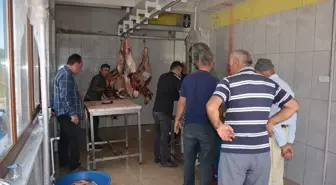 Tokat Başçiftlik Belediyesi Mezbahanede Kurban Kesim Hizmeti Sunuyor